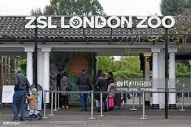 56 張London Zoo Entrance圖像、照片及影像- Getty Images
